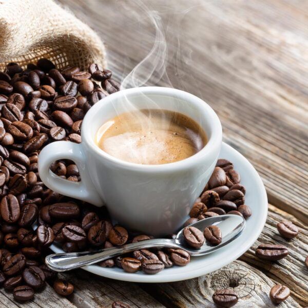 Té Sierra de Segura